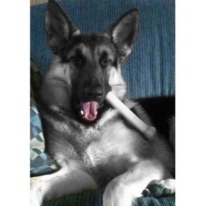 Meet your Posher, Sherri